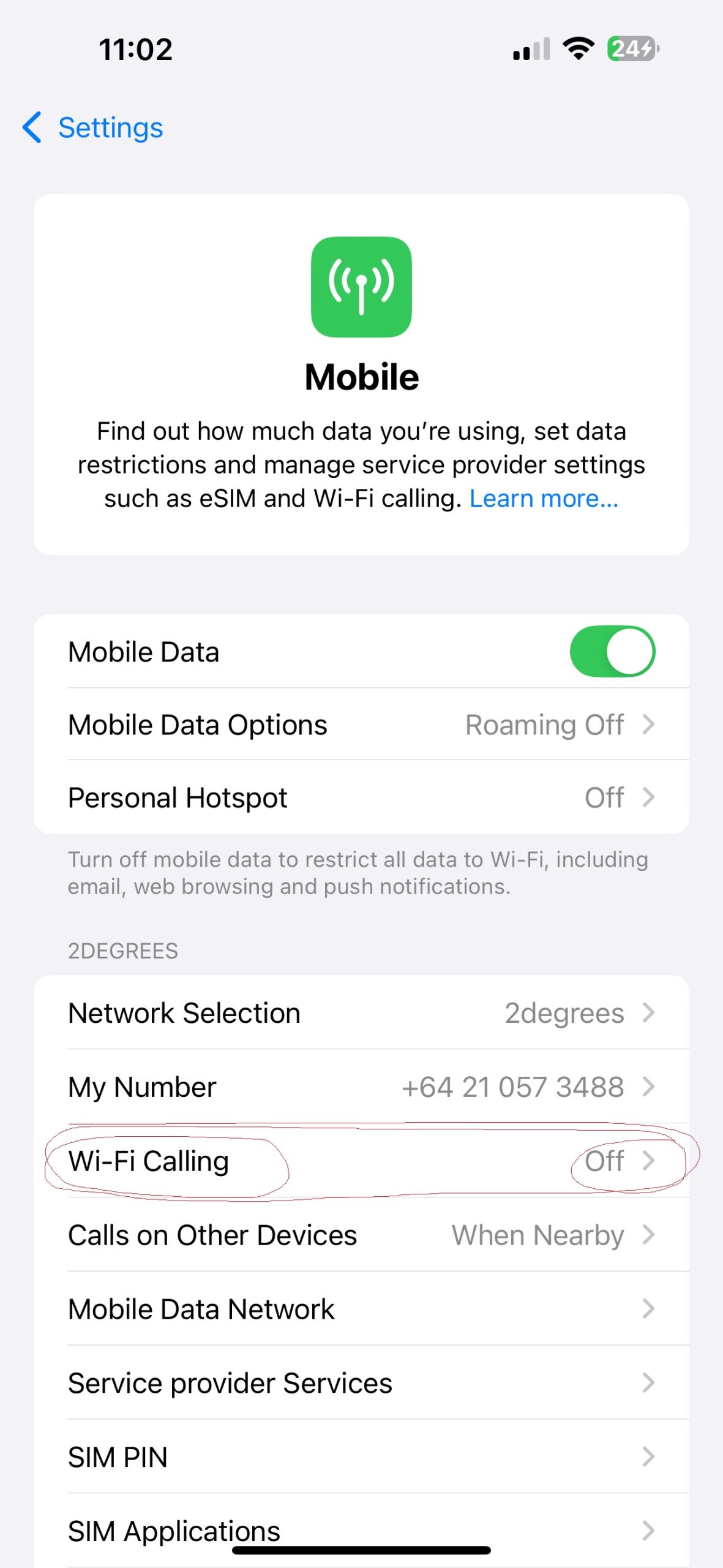 iPhone Settings Mobile Menu